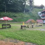 Cristal Sinaia